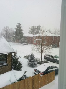 Today from our upstairs window